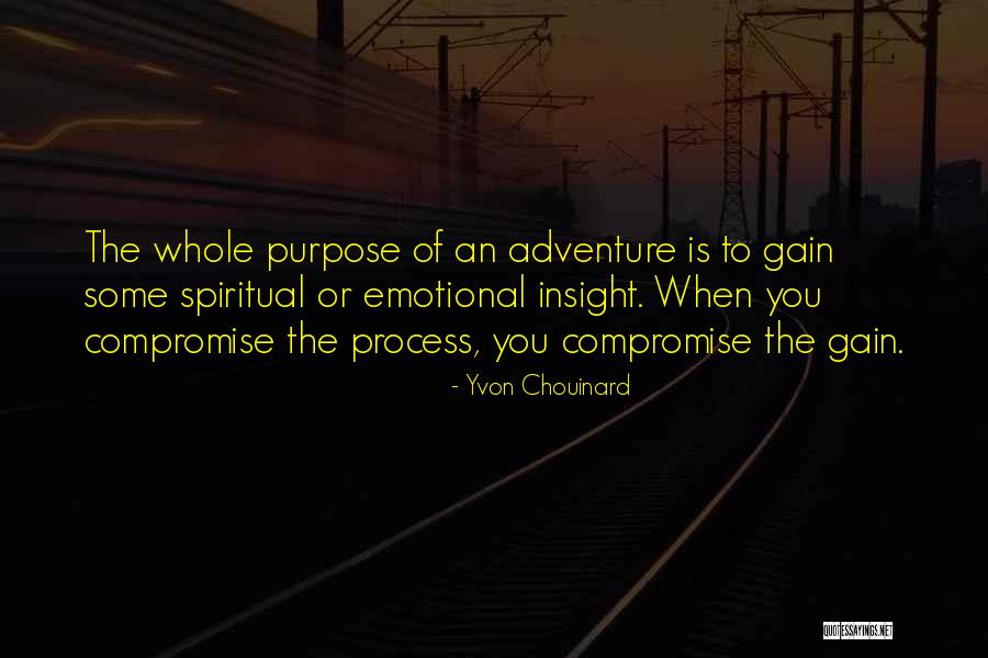 Spiritual Insight Quotes By Yvon Chouinard