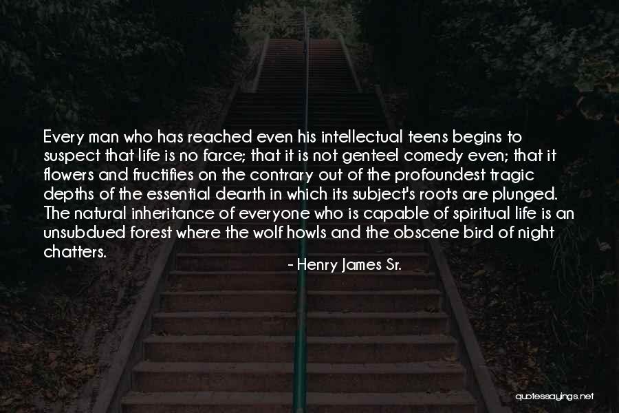 Spiritual Intelligence Quotes By Henry James Sr. Spiritual Intelligence Quotes By Henry James Sr.
