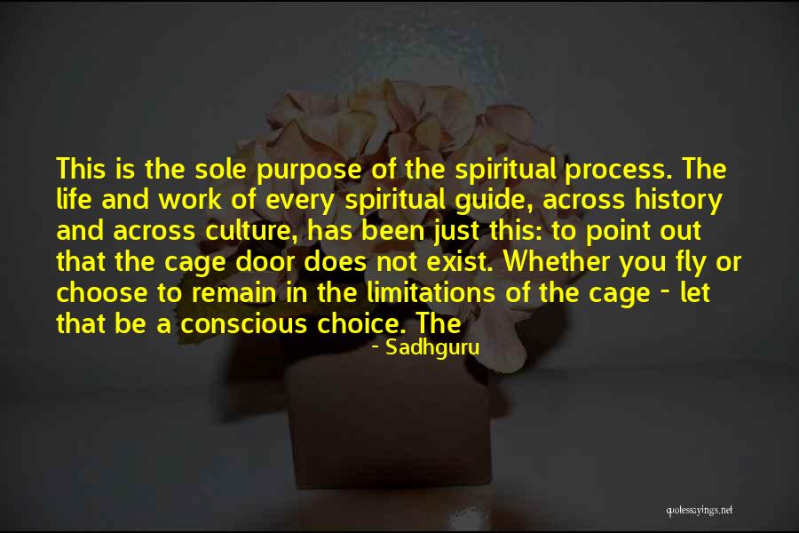 Spiritual Limitations Quotes By Sadhguru Spiritual Limitations Quotes By Sadhguru