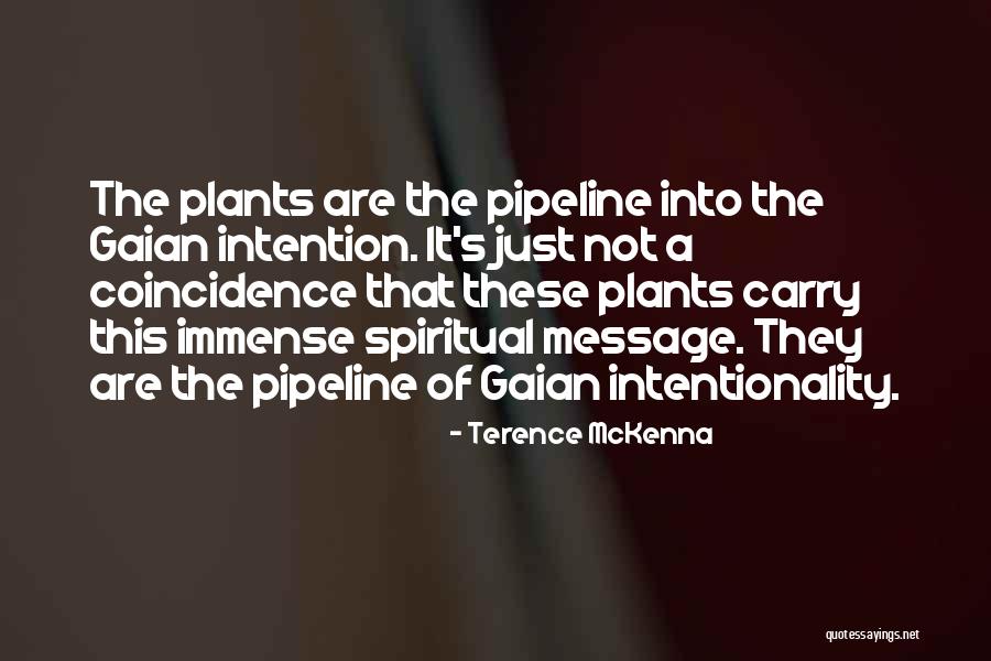 Spiritual Message Quotes By Terence McKenna Spiritual Message Quotes By Terence McKenna