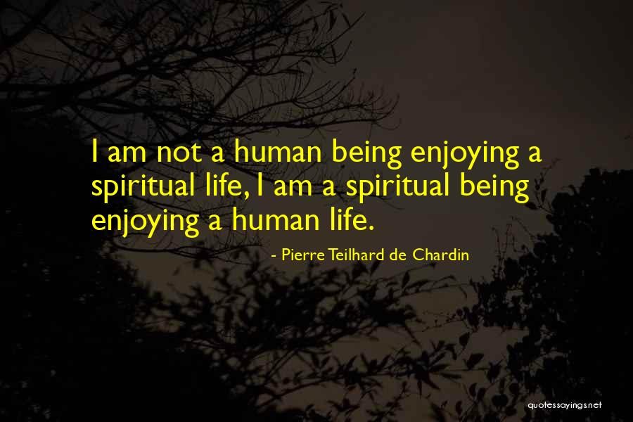 Spiritual Reality Quotes By Pierre Teilhard De Chardin Spiritual Reality Quotes By Pierre Teilhard De Chardin
