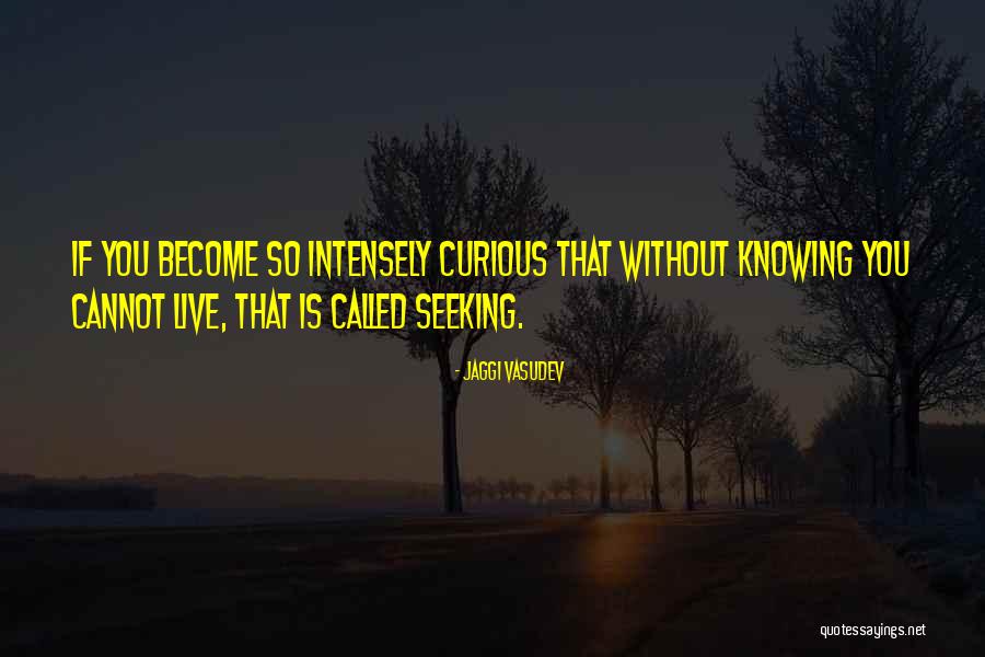 Spiritual Seeking Quotes By Jaggi Vasudev Spiritual Seeking Quotes By Jaggi Vasudev