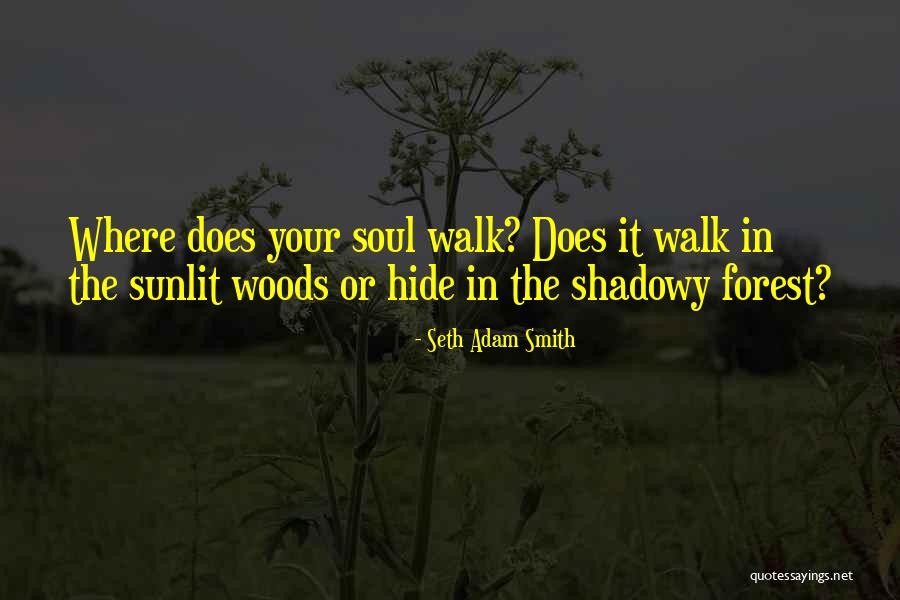 Spiritual Soul Searching Quotes By Seth Adam Smith Spiritual Soul Searching Quotes By Seth Adam Smith