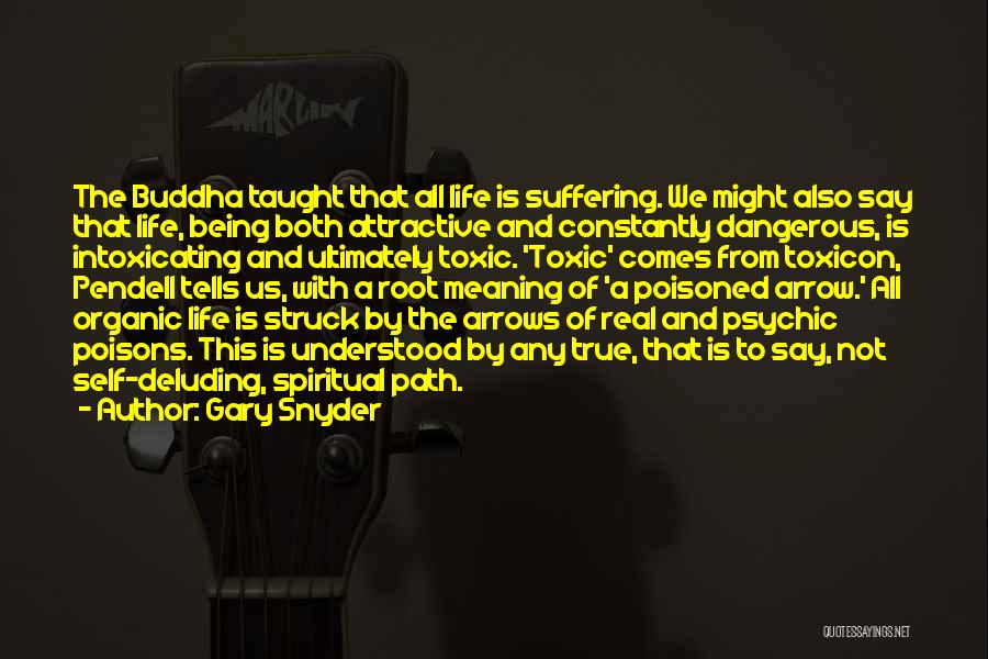 Spirituality And Life Quotes By Gary Snyder