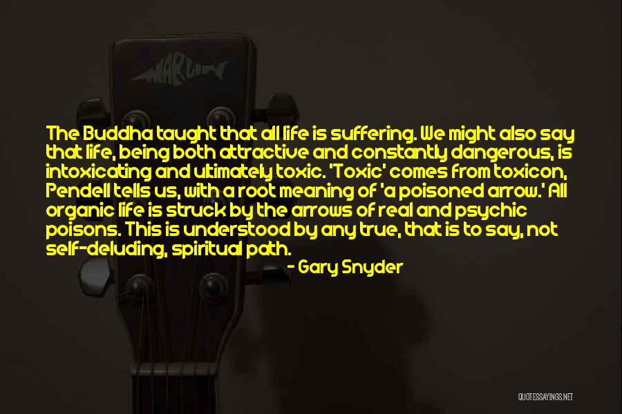 Spirituality And Life Quotes By Gary Snyder