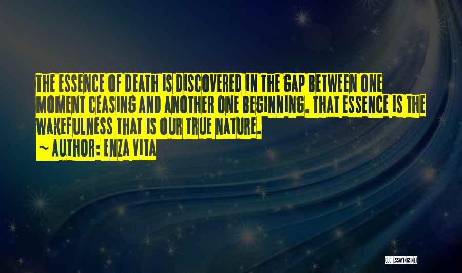 Spirituality And Nature Quotes By Enza Vita