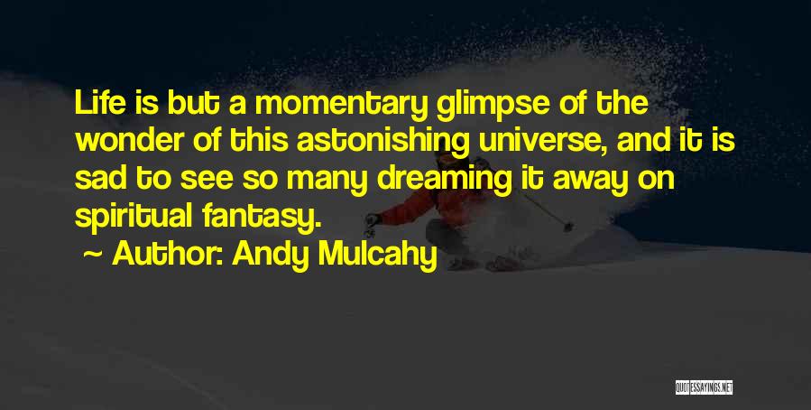 Spirituality And The Universe Quotes By Andy Mulcahy