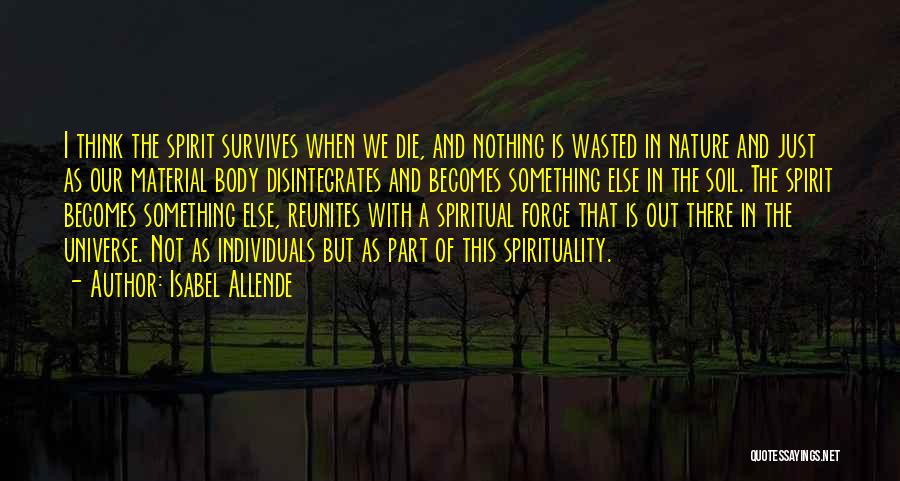 Spirituality And The Universe Quotes By Isabel Allende