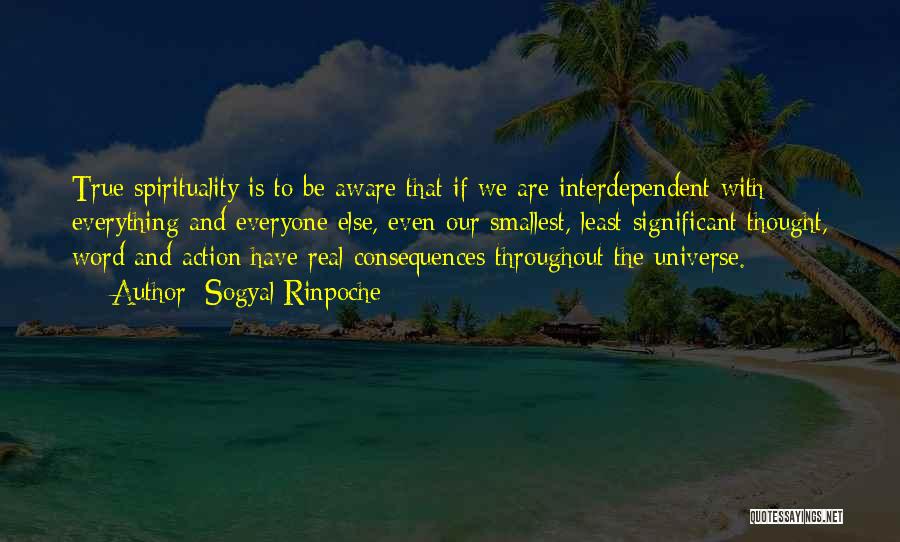 Spirituality And The Universe Quotes By Sogyal Rinpoche