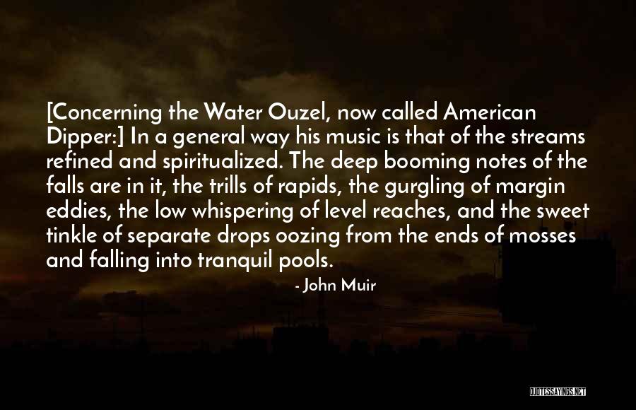 Spiritualized Quotes By John Muir Spiritualized Quotes By John Muir