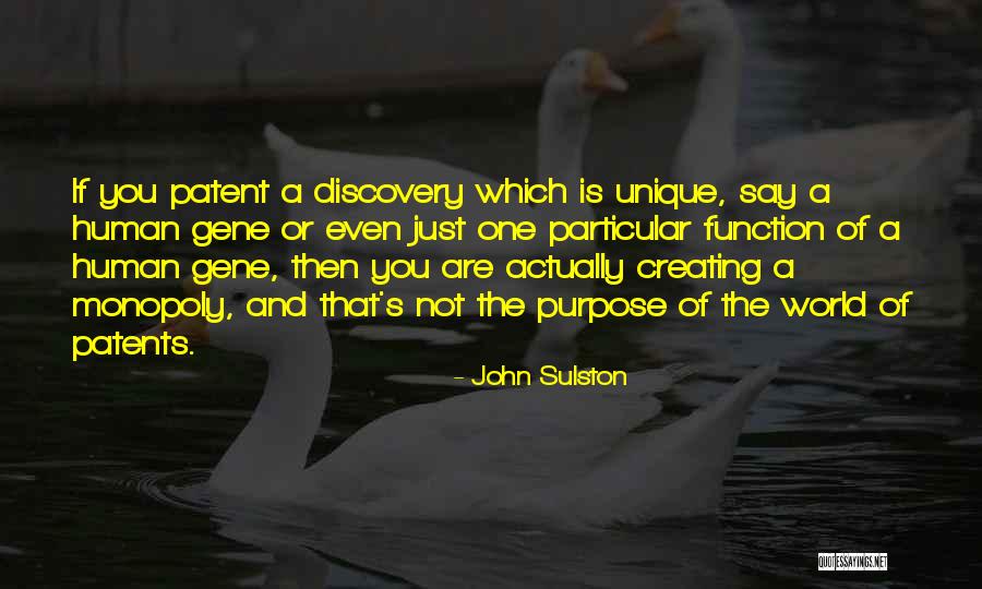Spirk Brothers Quotes By John Sulston Spirk Brothers Quotes By John Sulston