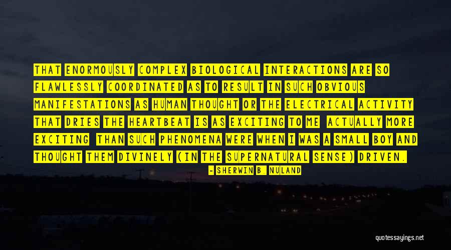 Spirtuality Quotes By Sherwin B. Nuland Spirtuality Quotes By Sherwin B. Nuland