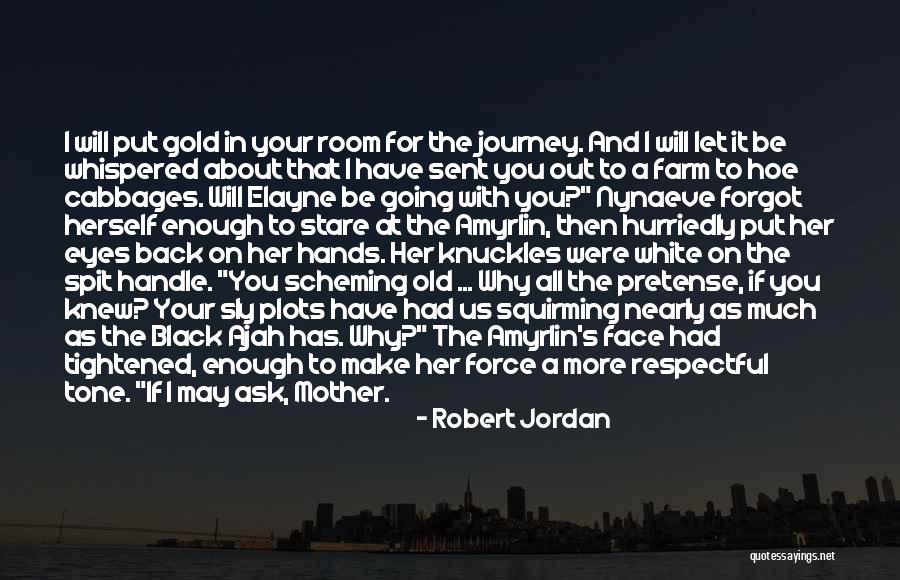 Spit In Your Face Quotes By Robert Jordan