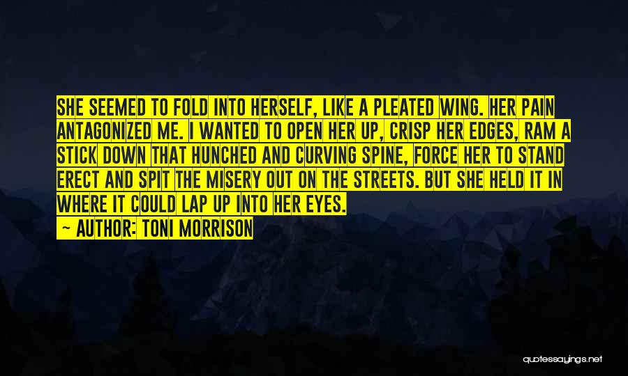 Spit On Me Quotes By Toni Morrison