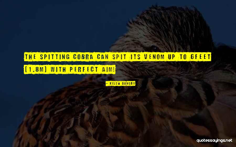 Spit Quotes By Keith Ownsby Spit Quotes By Keith Ownsby