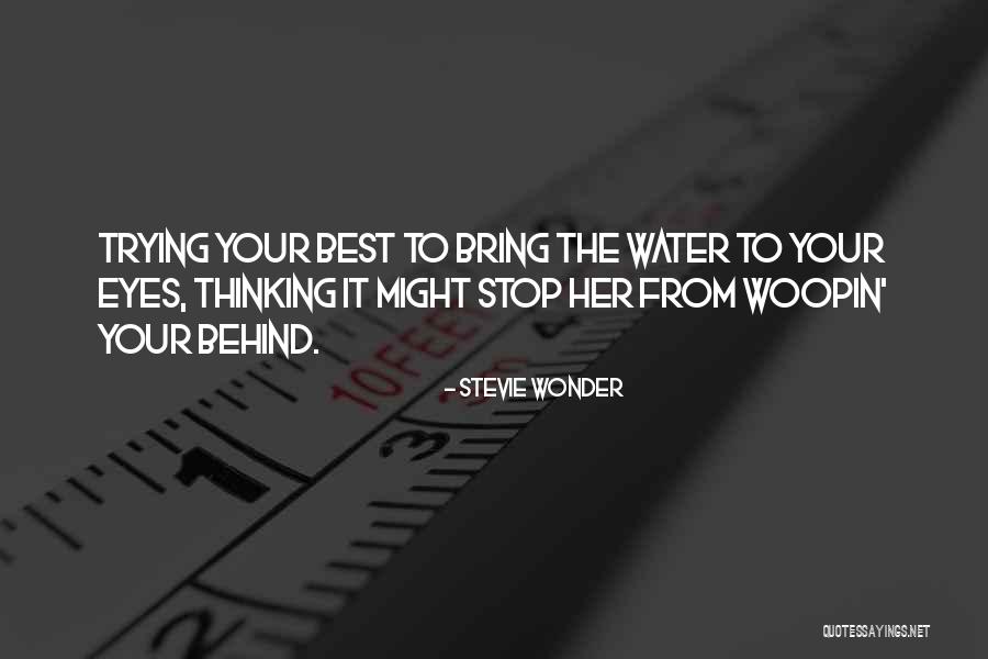 Spiteful And Vindictive Quotes By Stevie Wonder Spiteful And Vindictive Quotes By Stevie Wonder