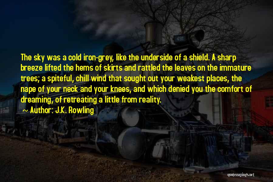 Spiteful Ex Quotes By J.K. Rowling