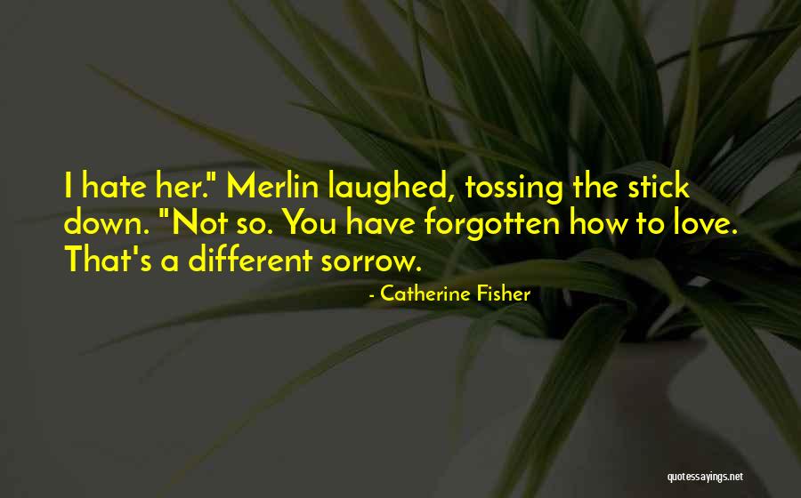 Spitters Are For Quitters Quotes By Catherine Fisher Spitters Are For Quitters Quotes By Catherine Fisher