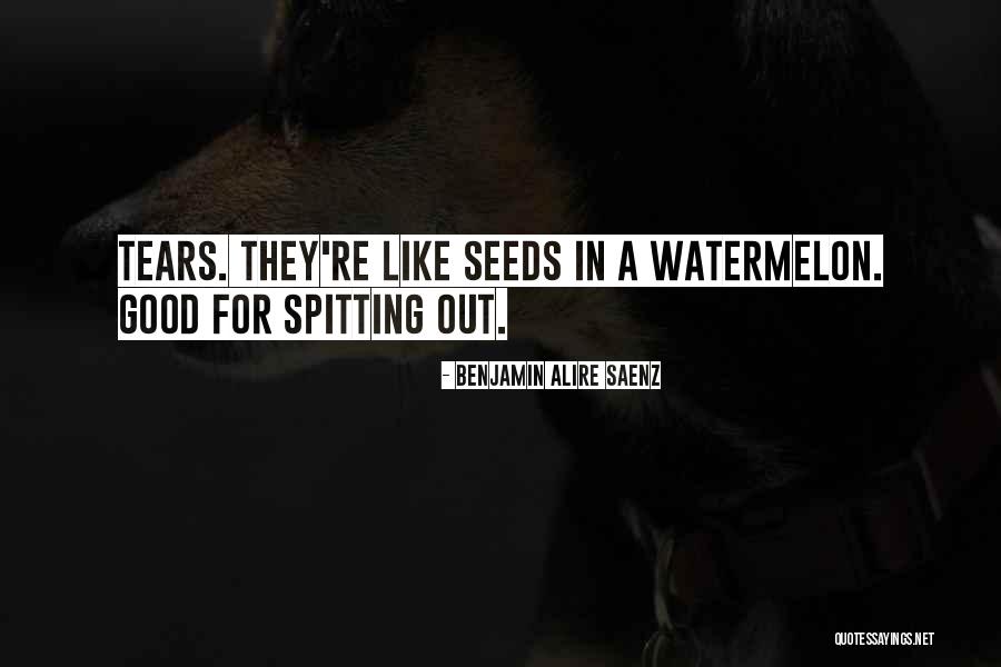 Spitting Out Quotes By Benjamin Alire Saenz Spitting Out Quotes By Benjamin Alire Saenz
