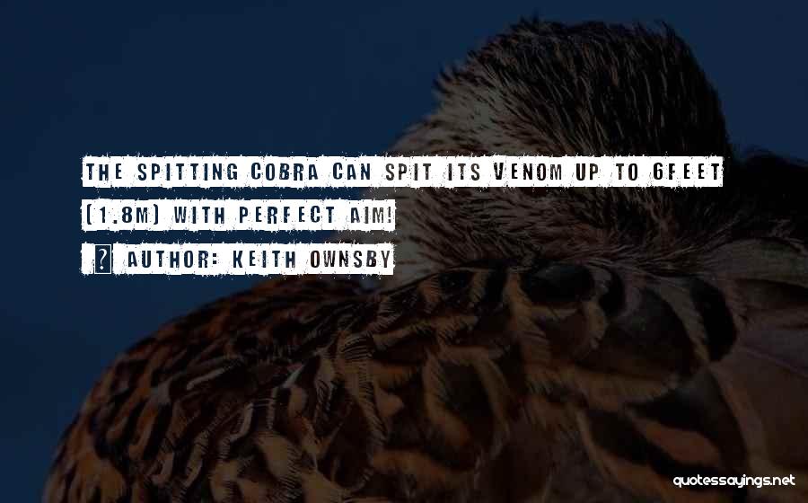 Spitting Quotes By Keith Ownsby