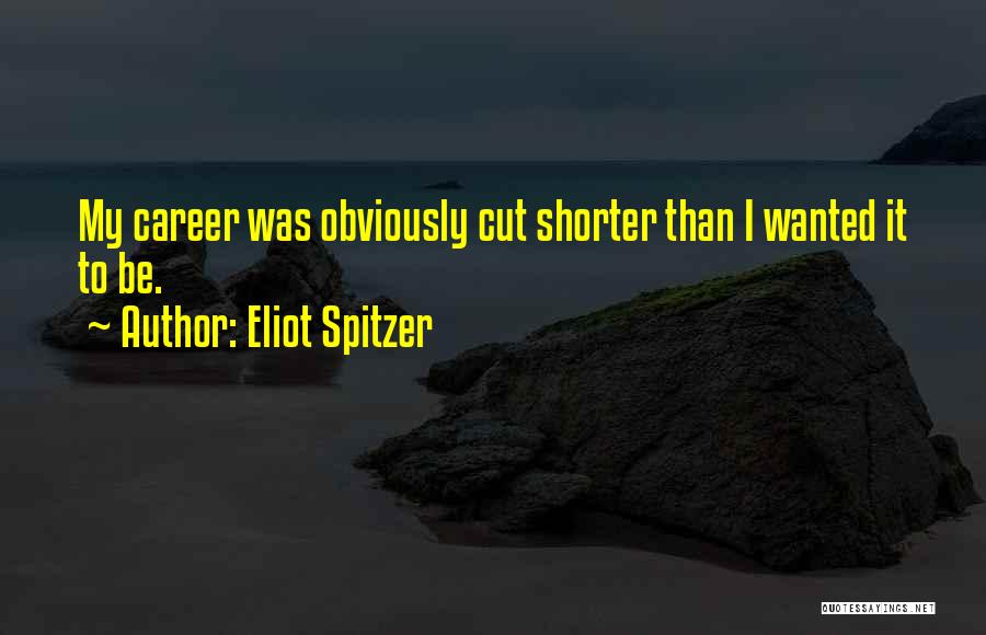 Spitzer Quotes By Eliot Spitzer