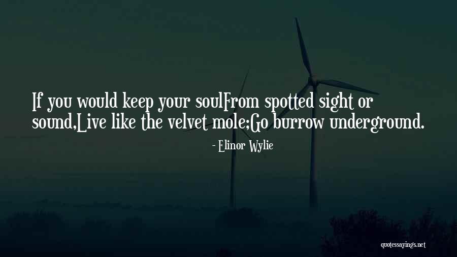 Spitzley Family Quotes By Elinor Wylie Spitzley Family Quotes By Elinor Wylie