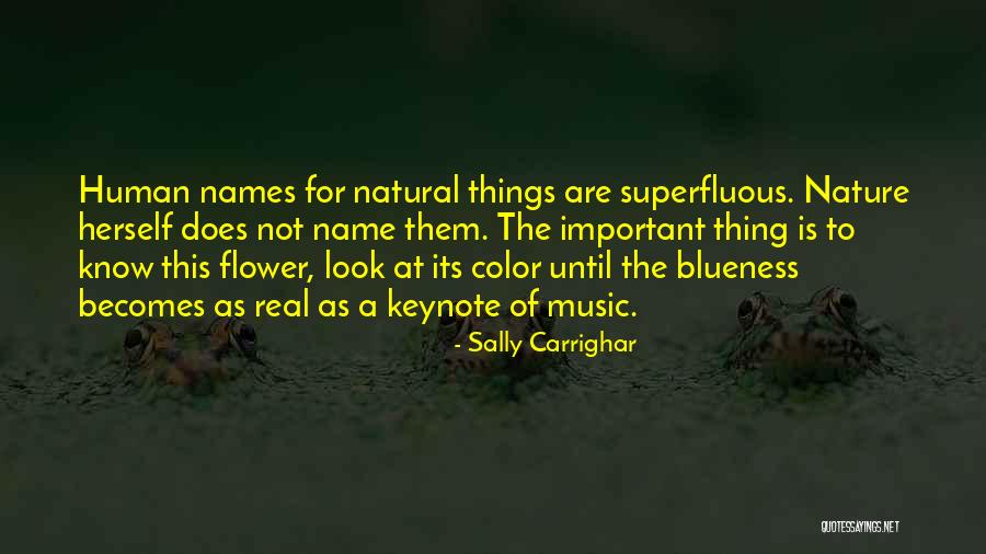 Spiv Quotes By Sally Carrighar Spiv Quotes By Sally Carrighar