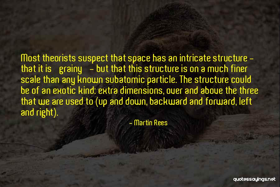 Spizzoucco Quotes By Martin Rees Spizzoucco Quotes By Martin Rees