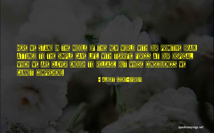Splashed White Quotes By Albert Szent-Gyorgyi Splashed White Quotes By Albert Szent-Gyorgyi