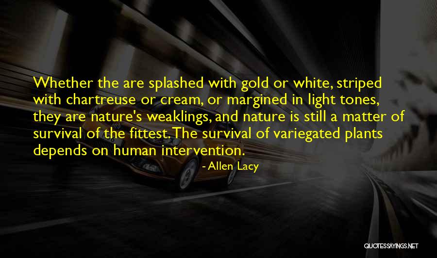 Splashed White Quotes By Allen Lacy Splashed White Quotes By Allen Lacy