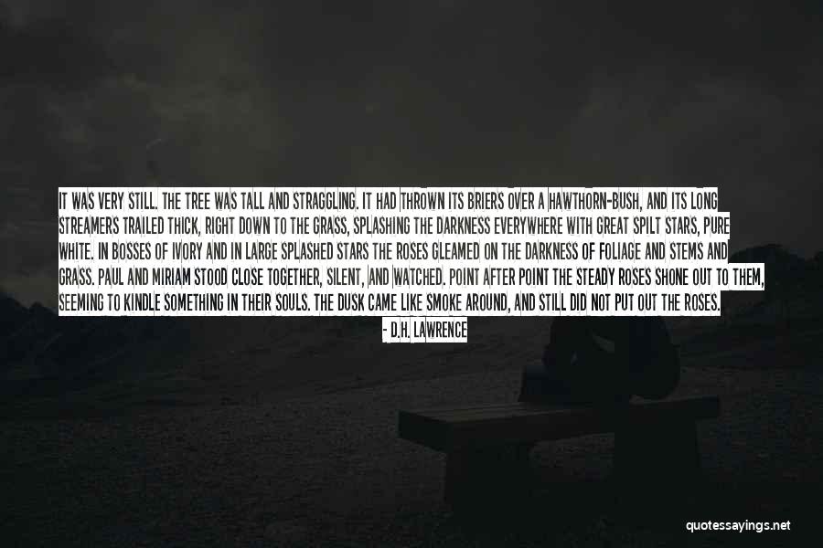 Splashed White Quotes By D.H. Lawrence Splashed White Quotes By D.H. Lawrence