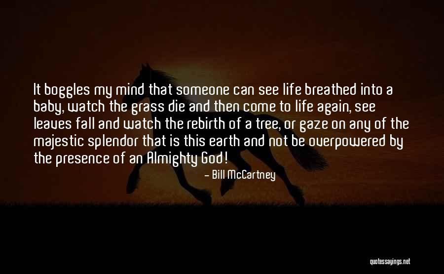 Splendor In The Grass Quotes By Bill McCartney Splendor In The Grass Quotes By Bill McCartney