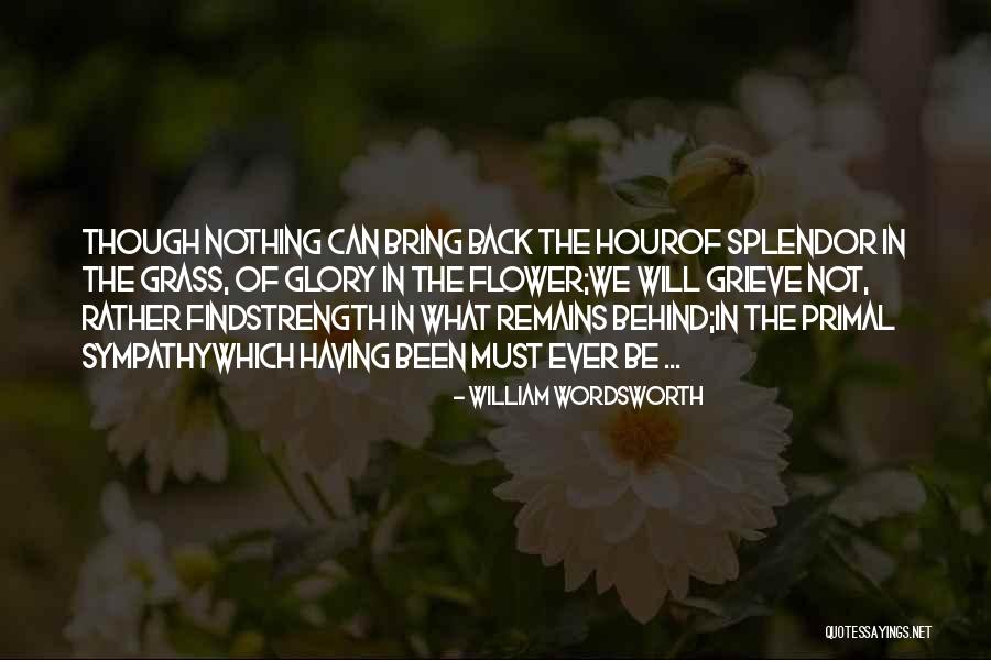 Splendor In The Grass Quotes By William Wordsworth Splendor In The Grass Quotes By William Wordsworth