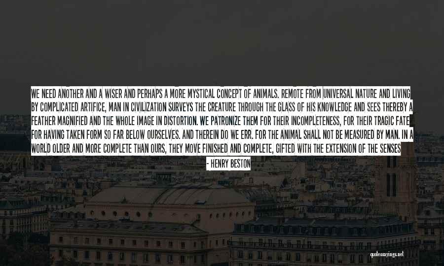 Splendour Quotes By Henry Beston Splendour Quotes By Henry Beston