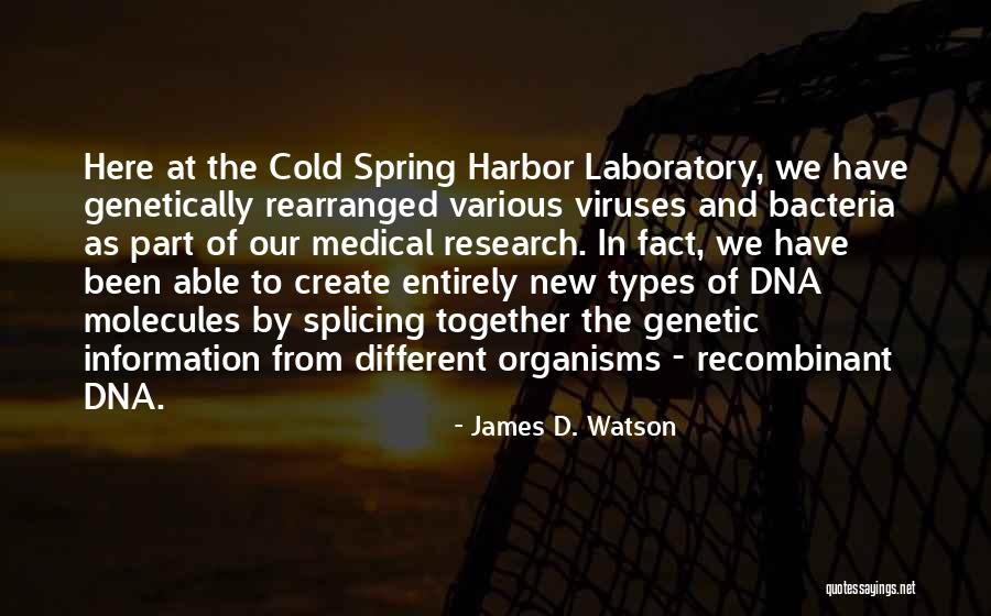 Splicing Quotes By James D. Watson Splicing Quotes By James D. Watson