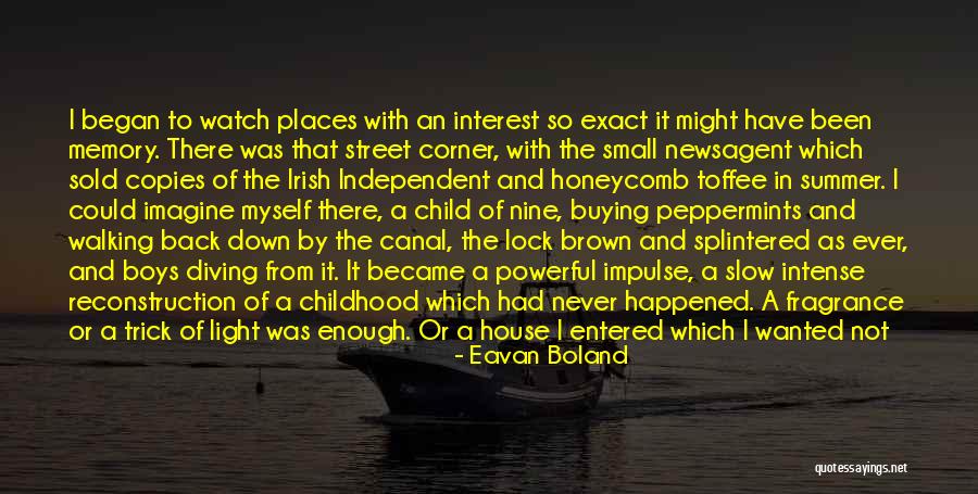 Splintered Light Quotes By Eavan Boland Splintered Light Quotes By Eavan Boland