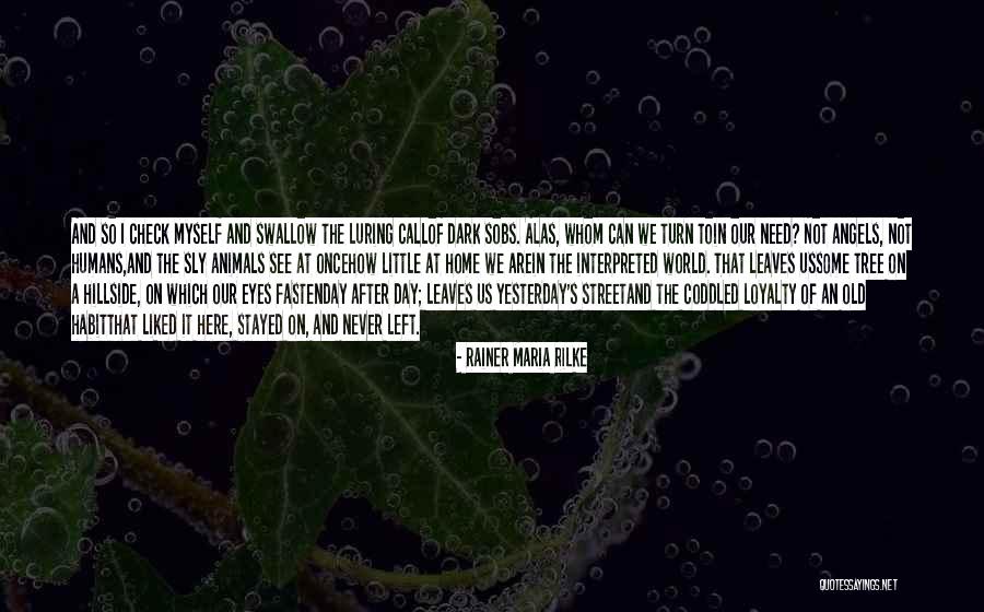 Split On Comma In Quotes By Rainer Maria Rilke Split On Comma In Quotes By Rainer Maria Rilke