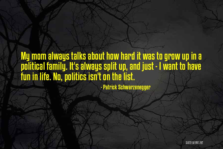 Split Up Family Quotes By Patrick Schwarzenegger