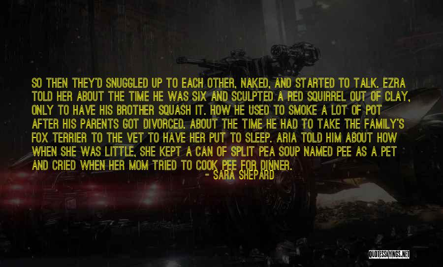 Split Up Family Quotes By Sara Shepard Split Up Family Quotes By Sara Shepard