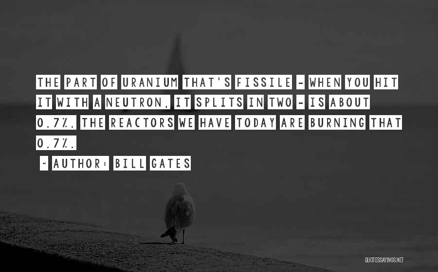 Splits Quotes By Bill Gates