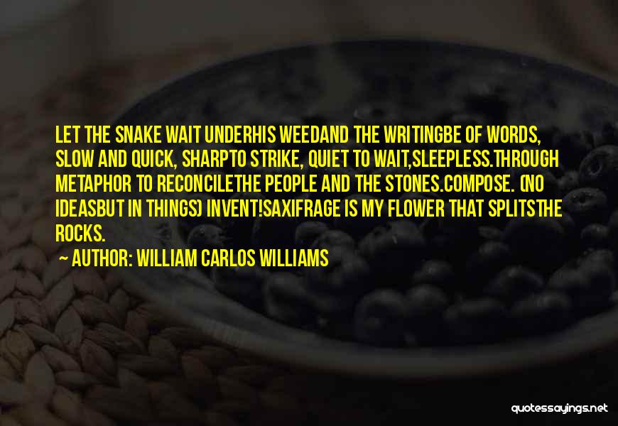 Splits Quotes By William Carlos Williams