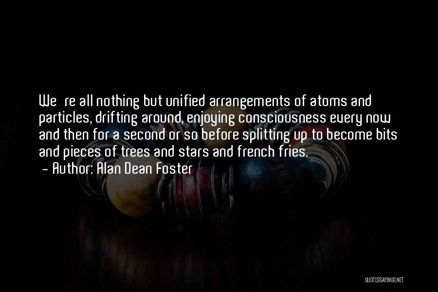 Splitting Quotes By Alan Dean Foster