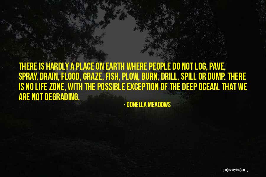 Spoedig In English Quotes By Donella Meadows Spoedig In English Quotes By Donella Meadows