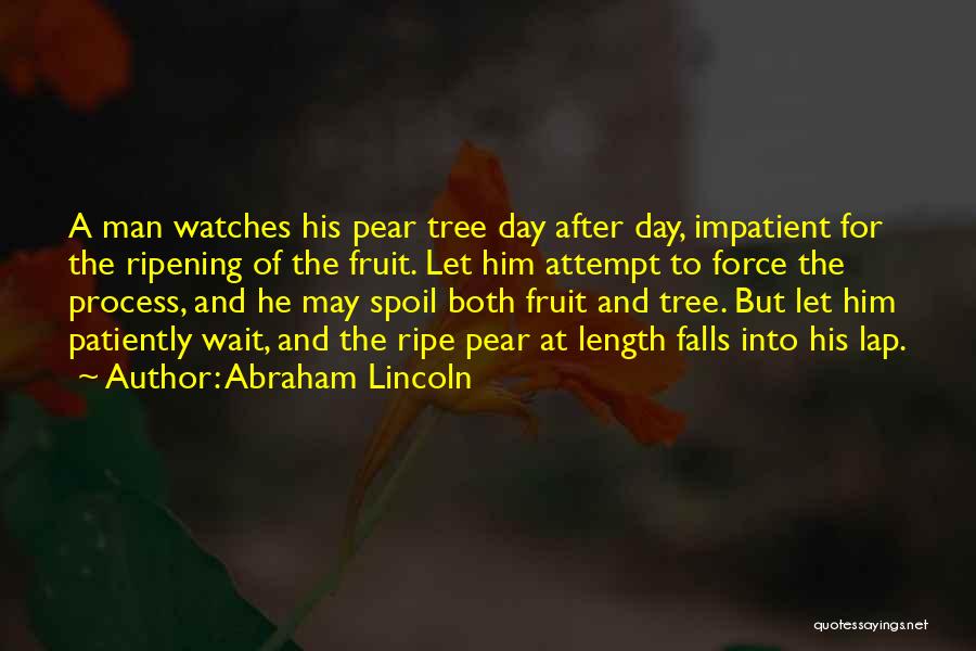 Spoil Him Quotes By Abraham Lincoln