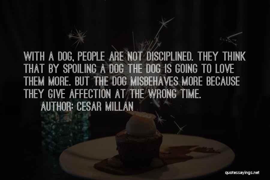 Spoiling Quotes By Cesar Millan