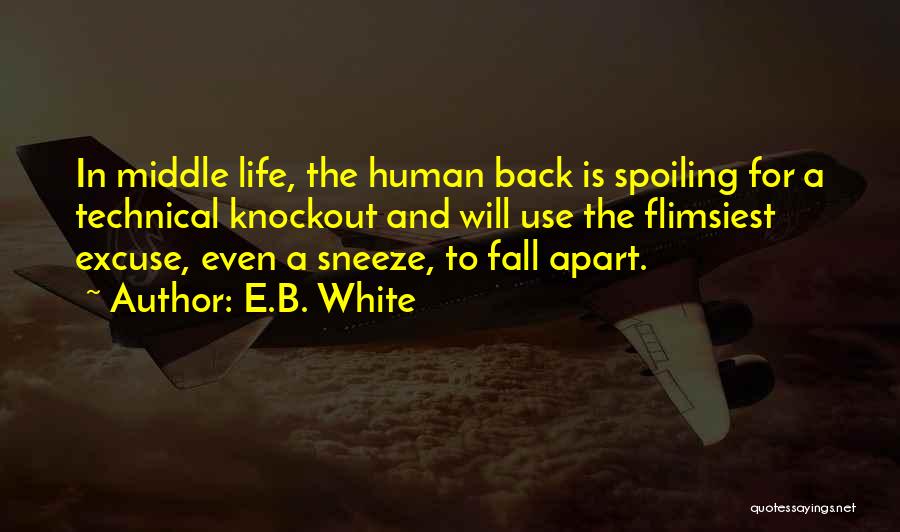 Spoiling Someone's Life Quotes By E.B. White