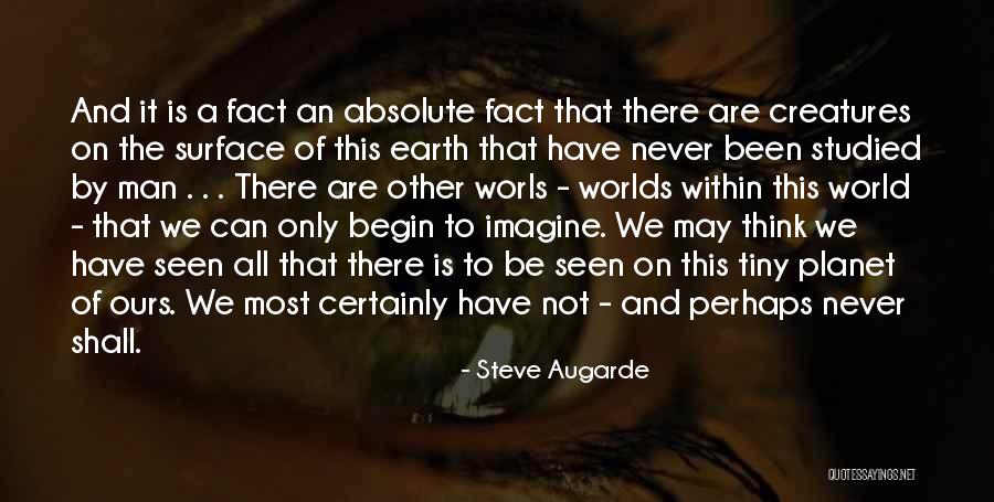 Spokojna Muzyka Quotes By Steve Augarde Spokojna Muzyka Quotes By Steve Augarde