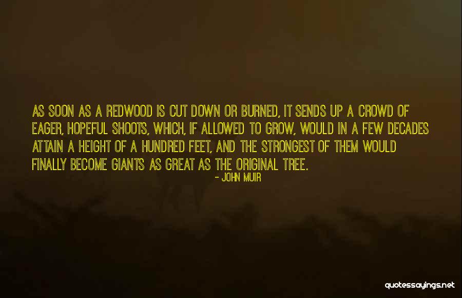 Spokojnej Srody Quotes By John Muir Spokojnej Srody Quotes By John Muir