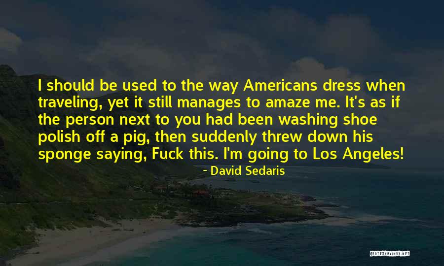 Sponge It Quotes By David Sedaris Sponge It Quotes By David Sedaris