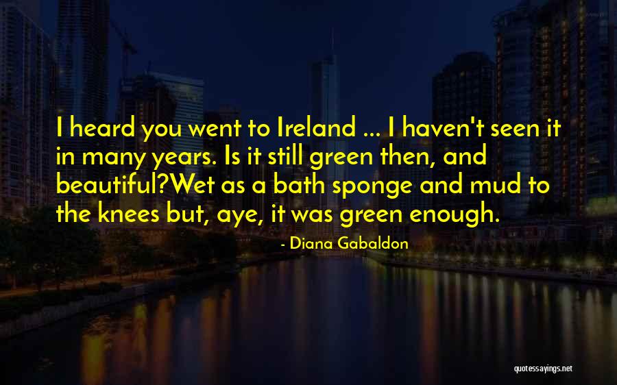 Sponge It Quotes By Diana Gabaldon Sponge It Quotes By Diana Gabaldon